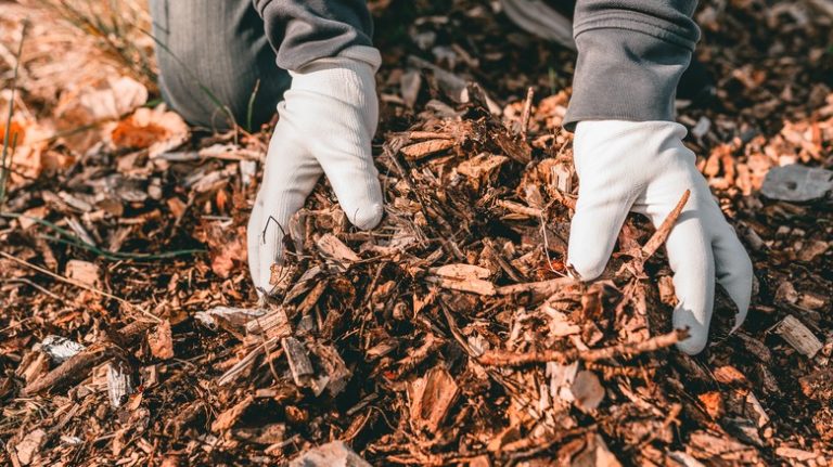 Is Mulch Glue Safe for Your Garden?