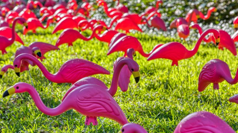 Understanding the Symbolism of Pink Flamingos in Yard Decor