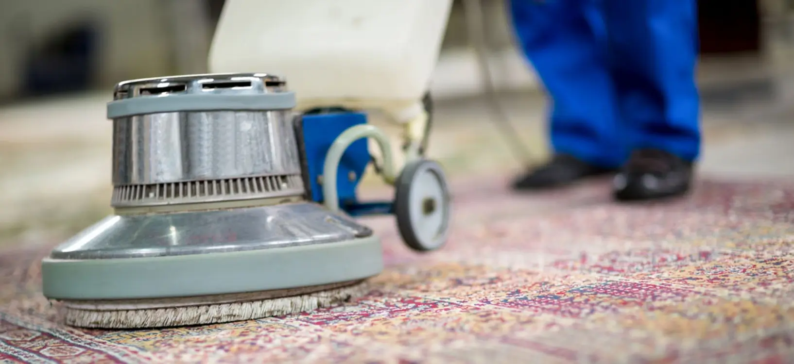 Carpet Cleaning